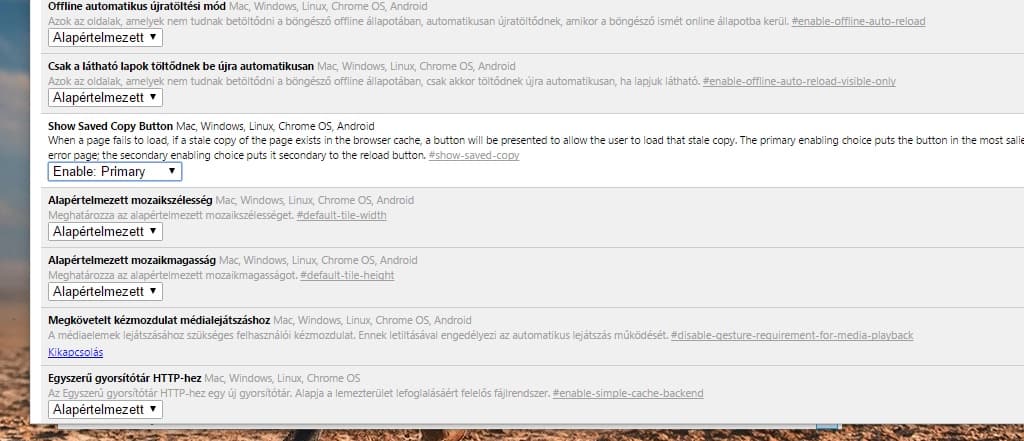 chrome-offline-2